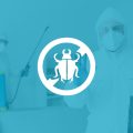 Serviço de Controle de Pragas Urbanas - DDA Dedetizadores Associados